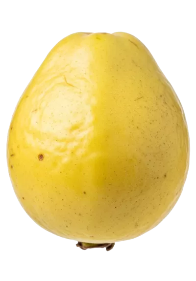 Imagen PNG para descargar